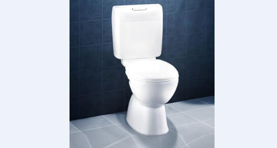 Caroma Trident Connector Toilet Suite S Trap Caroma Eboss