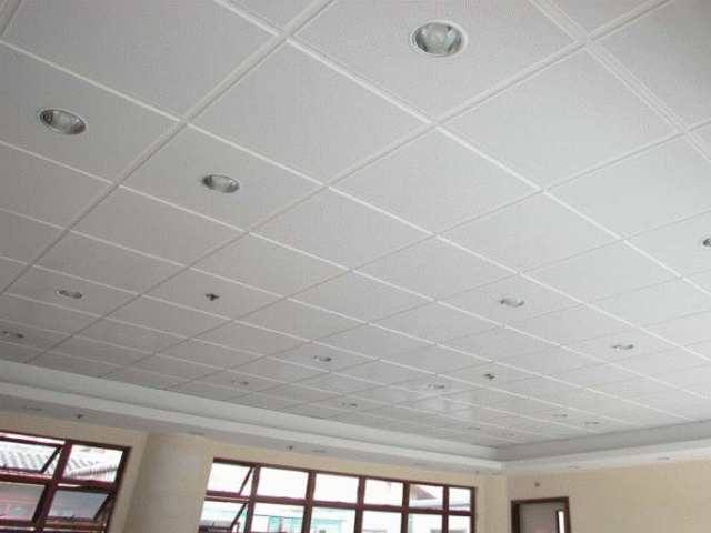 Metapan P-Series Ceiling Tile