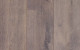 Forte Ultra Mink Grey Oak Plank