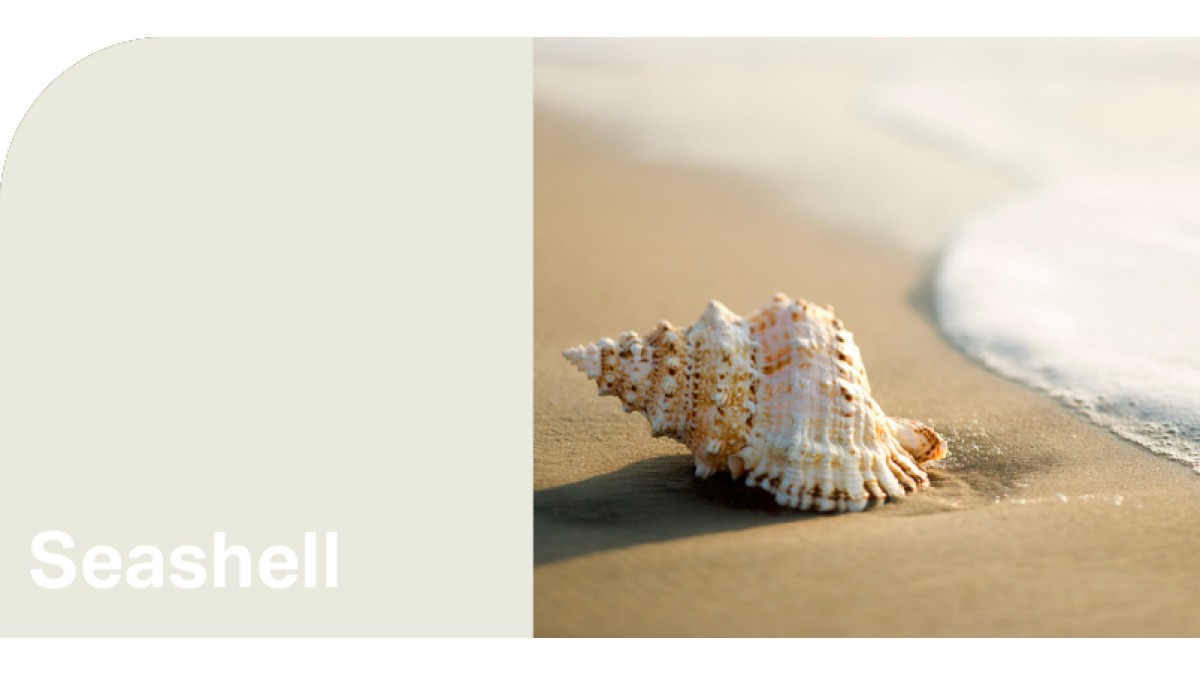 Create HPL Seashell swatch