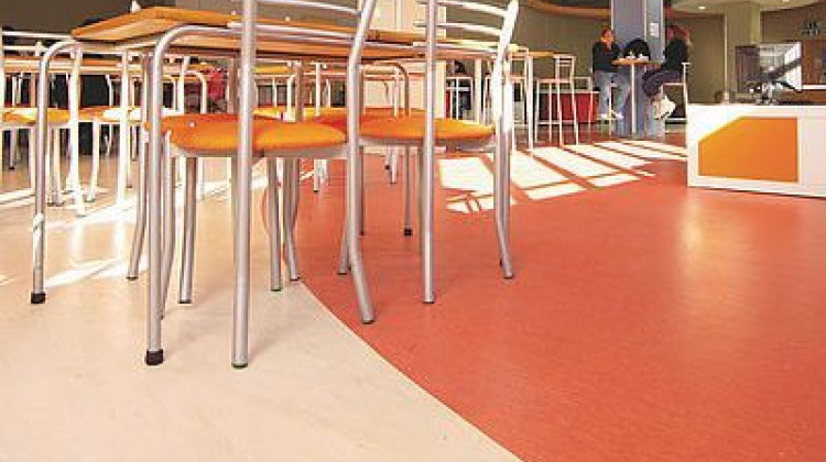 Polyflor Homogenous Sheet Vinyl