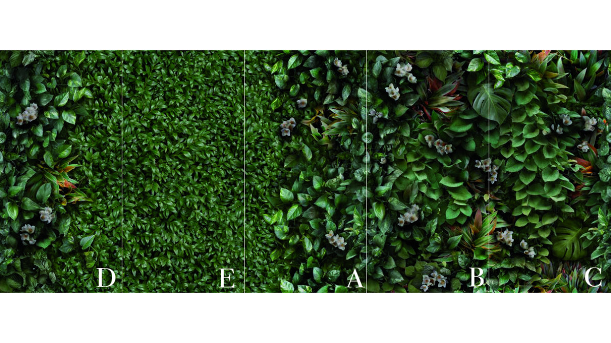 Glam Greenwall Panels A D labeled. jpg