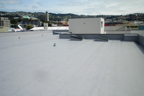 A New Roof Protects Wellington's Architectural History