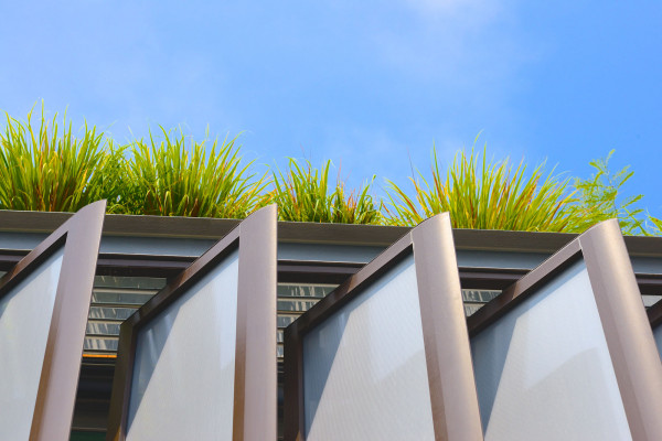 Viking's Roof Garden System Brings Roofs to Life