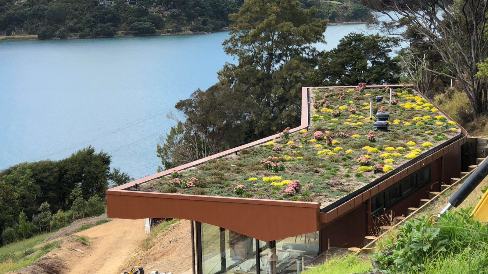 Green Roof Waiheke 1 copy