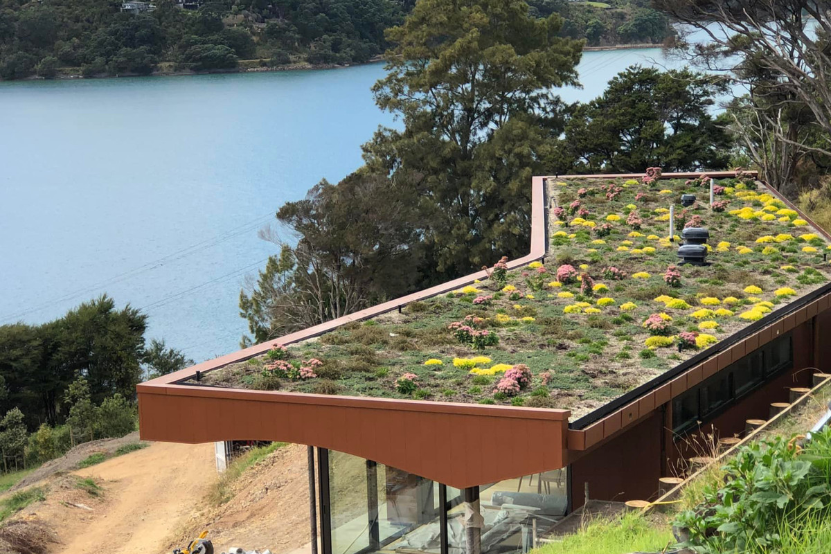 Green Roof Waiheke 1 copy