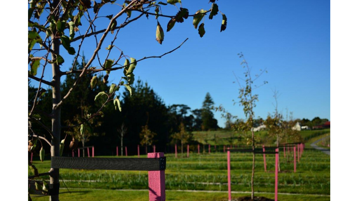 Resene Total Colour Awards 2014. Landscape Award Winner: ‘The Esplanade' at Auckland Airport.