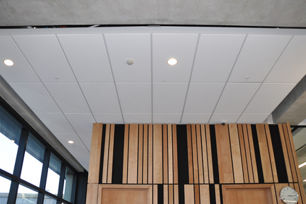 Potters Ease the Way Forward with Seismic Ceiling Design