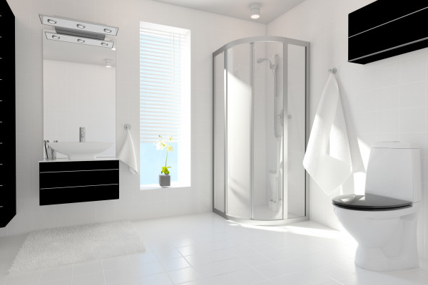 Combating High Moisture Areas with IBS ShowerLine