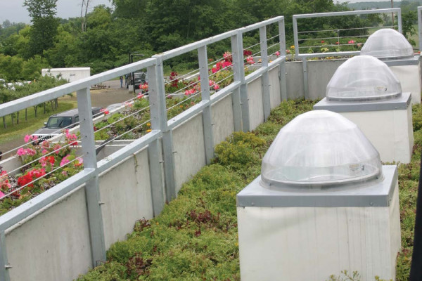 Incorporating Daylighting Systems into Vegetated Green Roofs