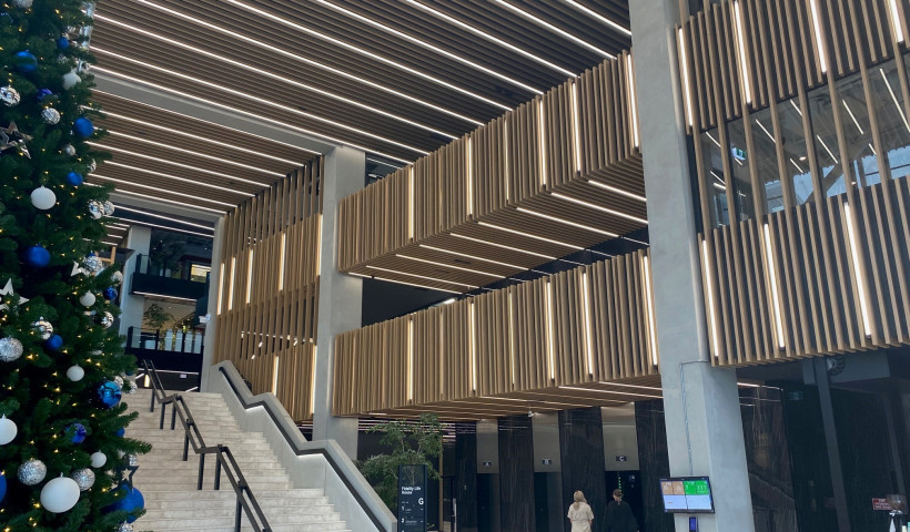 Eye-Catching Woodgrain-Coated Aluminium Battens for Te Aukati Atrium