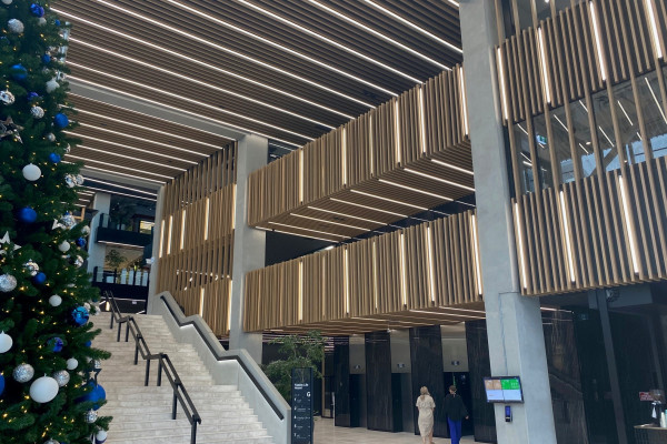 Eye-Catching Woodgrain-Coated Aluminium Battens for Te Aukati Atrium