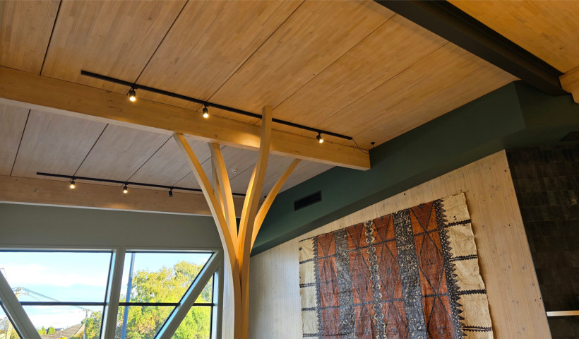 Embracing Mass Timber for Low Carbon Construction