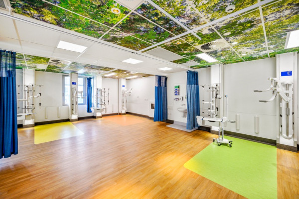 Elevate Suspended Ceilings with Ink-Jet Printed Ceiling Tiles